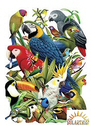 Bird world