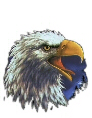 Eagle head