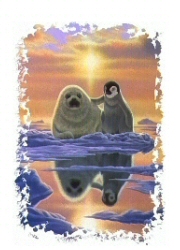 Penguin and sealion