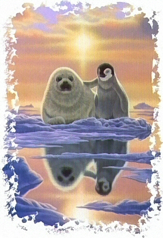 Penguin and sealion - 8352