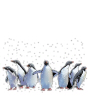 Penguins - 9019