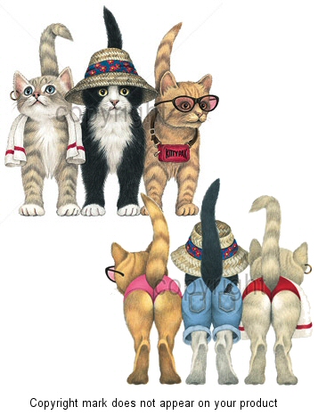 Beach cats - 4772