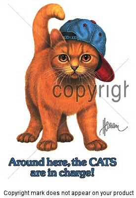 Cats in charge - 6005
