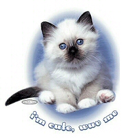 I'm cute