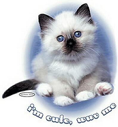I'm cute - 8463