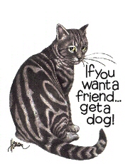 If you want a friend
