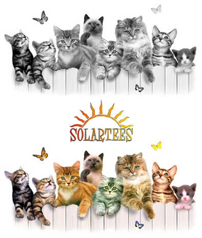 Girls club - 107901 Solar