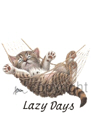 Lazy days cat
