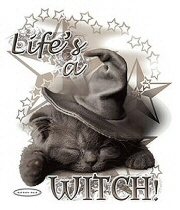 Life's a witch