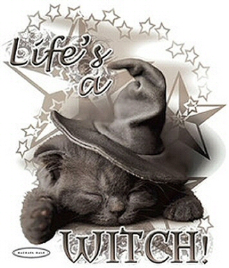 Life's a witch - 8012