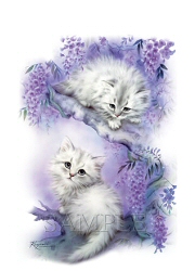 Mischief cats