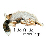 I don't do mornings