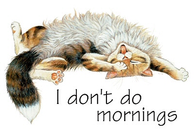 I don't do mornings - 4143