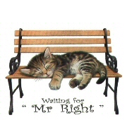 Mr Right