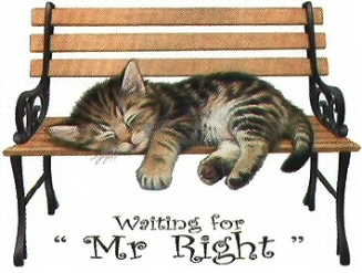 Waiting for Mr Right