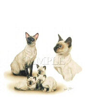 Siamese cats