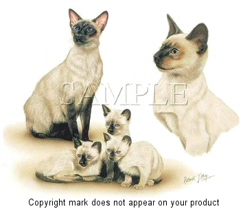 Siamese cats - 3302