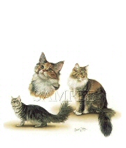 Tabby cats