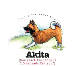Akita