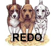 Beach dogs - 4013
