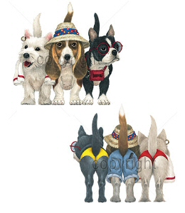 Beach dogs - 4771