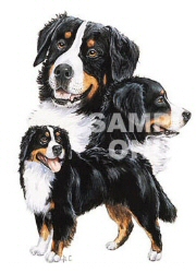 Bernese group