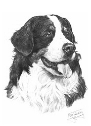 Bernese study
