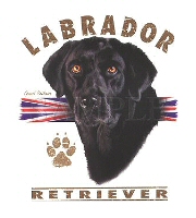 Black lab