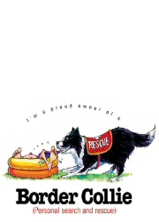 Border collie - 6448