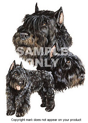 Bouvier Des Flandres - 367