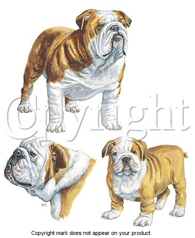 Bulldog - 6321