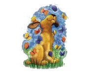 Butterfly puppy - 9338