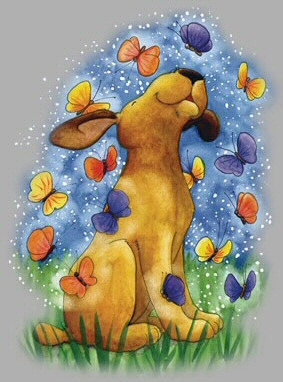 Butterfly puppy