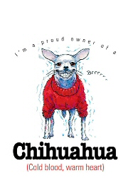 Chihuahua