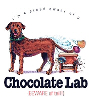 Chocolate labrador