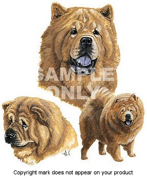 Chow chow - 316