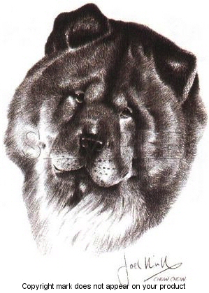 Chow chow - 6216