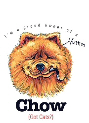 Chow Chow - 6454