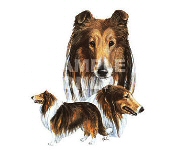 Collies