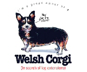 Welsh corgi