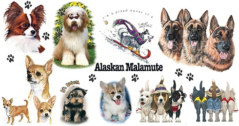 The Teezz dog range