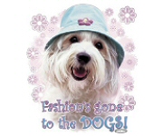 Fashion dog