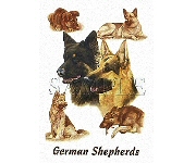 German shepherd montage