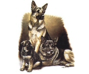 Generations