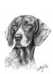 Pointer study