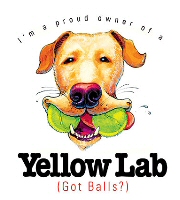 Yellow labrador