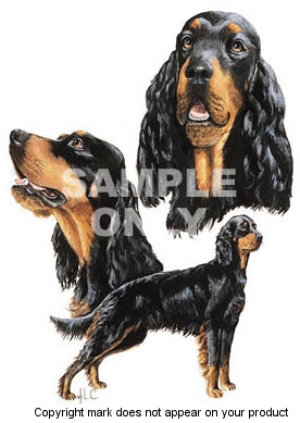 Gordon setter - 384