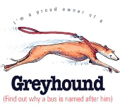 Greyhound