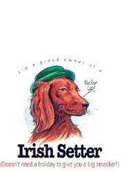 Irish setter