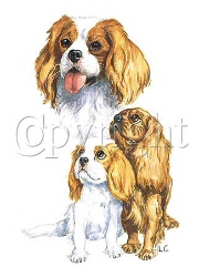 King Charles group